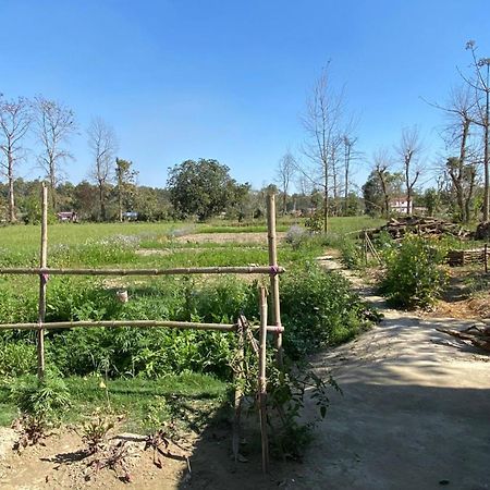 Nanu'S Bardiya Homestay Buitenkant foto